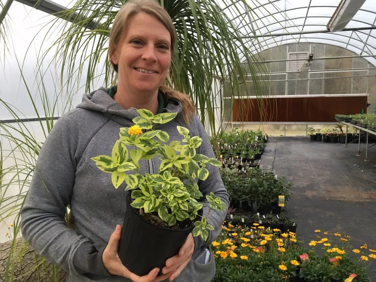 Why Shop a Public Garden Plant Sale? Brookgreen